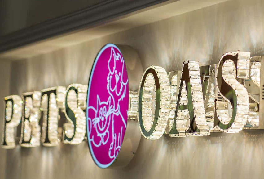 Pets Oasis Grooming Training dubai